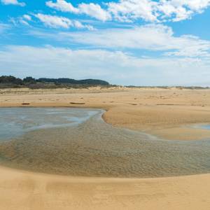 California Estuary at Gazos Creek State Beach by Brechin "Miss B" Flournoy, Image 1.