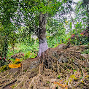 Sacred Bali by Brechin "Miss B" Flournoy, Image 1.