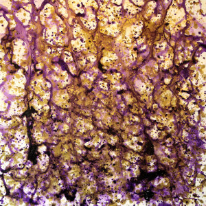 Electromagnetic Feeling by Laura McClanahan