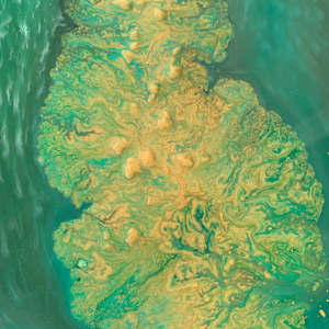 Earth's Evolution by Laura McClanahan, Image 3.