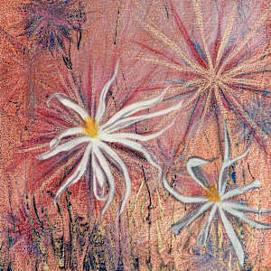 Painting Paradise by Laura McClanahan  Image: morning sunlight photo