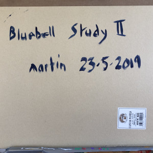 Bluebell Study II by Martin Briggs 