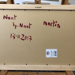 Nant Ty-Nant 13.11.2017 by Martin Briggs 