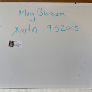 May Blossom by Martin Briggs 