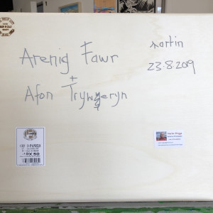 Arenig Fawr from Afon Tryweryn by Martin Briggs 