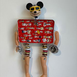 Mr. Imagination by Pamela Irving