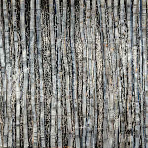 Trees by Katie Metz, Image 2.