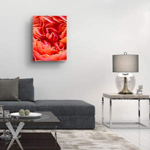 Velvet Flame (2025) 1/25 by Mariri Sun, Image 6.