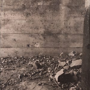 Detritus by Brenda Stumpf