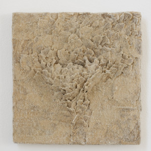 Layection by Brenda Stumpf Studios