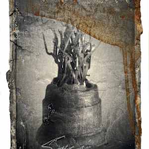 Oblation 12 (Spei) by Brenda Stumpf, Image 11.