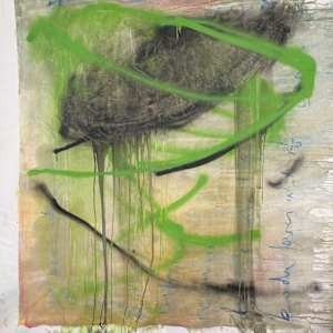 Evolution by Susan Boser, Image 1.