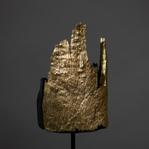 Relic - Gold by Thomas Bucich 