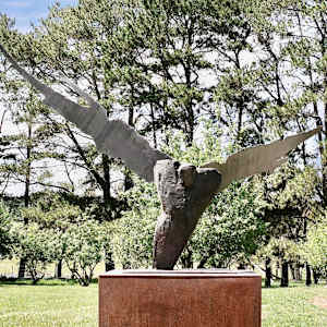 Meditations on the Icarus Effect V by Thomas Bucich 