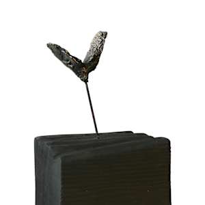 Meditations on the Icarus Effect I by Thomas Bucich 