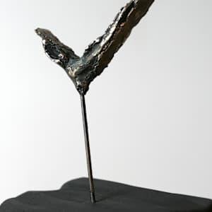 Meditations on the Icarus Effect I by Thomas Bucich 