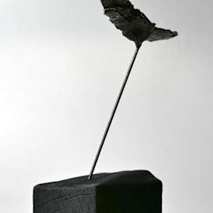 Meditations on the Icarus Effect II by Thomas Bucich 
