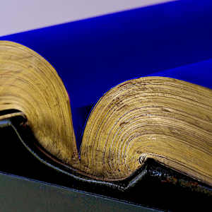 The Good Book by Thomas Bucich, Image 4.