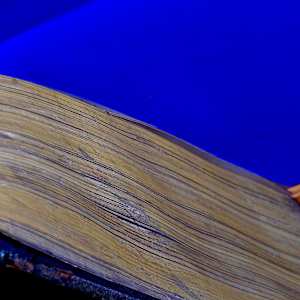 The Good Book by Thomas Bucich, Image 5.