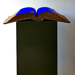 The Good Book by Thomas Bucich, Image 2.