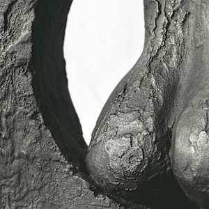 Moon Gate by Thomas Bucich, Image 4.