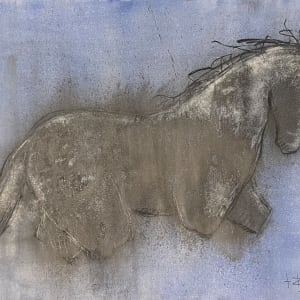 Horse Study - Graphite by Thomas Bucich
