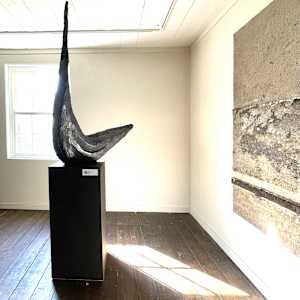 The Journey by Thomas Bucich 