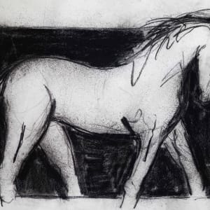 Large Equine Study by Thomas Bucich
