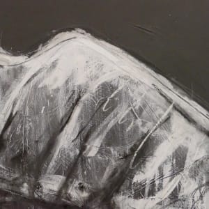 Appropriate Appropriation by Thomas Bucich 