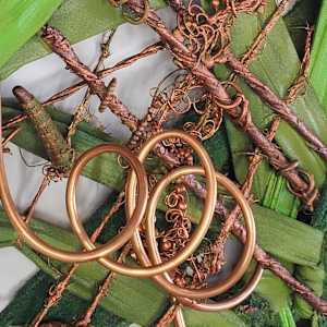 Nature's Abacus by Juju Bartush 