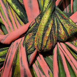 "Toxic Melon" by Juju Bartush 