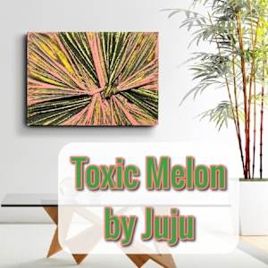 "Toxic Melon" by Juju Bartush 