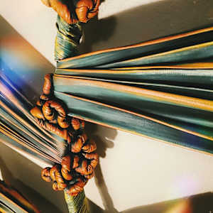 "Luscious Berries" by Juju Bartush 