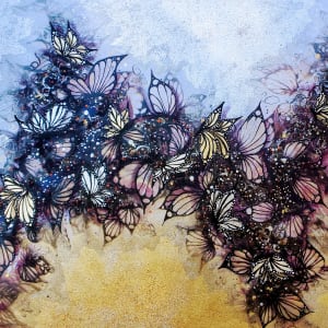 Butterfly Shadows, Shimmer shadows by Juju Bartush artbyjuju by Juju Bartush