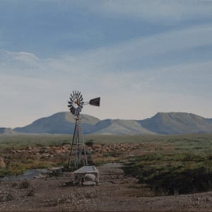 After The Early Rains by Peter Bonney