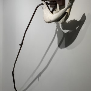 Saw Animal by Paddy Lamb