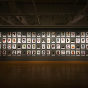 Half Gorgeous, Half Absurd, Half Imagined by Paddy Lamb