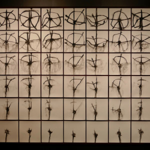 The More I Gather, the Less I Know, the More I Gather by Paddy Lamb