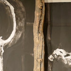 Rapture of the Deserted by Paddy Lamb 