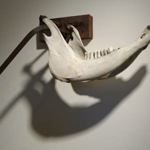 Saw Animal by Paddy Lamb 