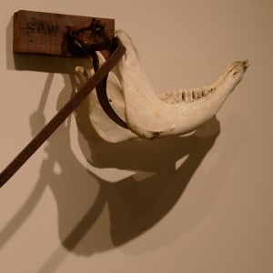 Saw Animal by Paddy Lamb 