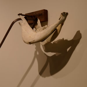 Saw Animal by Paddy Lamb 