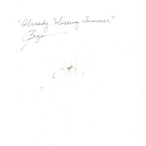 Already Missing Summer by Jackie Begue 