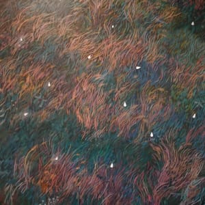 sometimes by Grace Waitaha 