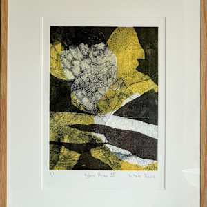Hybrid Vision II by Victoria Johns  Image: Showing the original print in wood frame