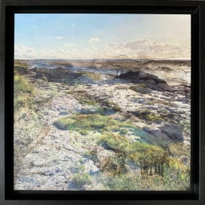 Where Should I Step Next? II by Victoria Johns Art  Image: Where Should I Step Next? II - framed in black wood St Ives float style frame.