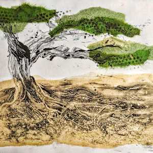 Bonsai by Tony Bounsall