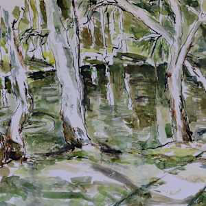 Hoods Lagoon Afternoon, Clermont by Lyn Laver-Ahmat