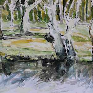 Twin Eucalypts, Hoods Lagoon, Clermont by Lyn Laver-Ahmat