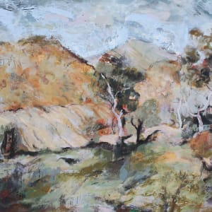 Mid Day in the Desert Gorge by Lyn Laver-Ahmat